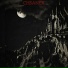 CHSANEX