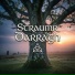 straumr