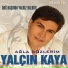 Yalçın Kaya