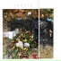Lostiu.
