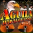 Aguila Hidalguense