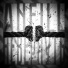 ANFiLL