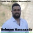 Behnam Hasanzade