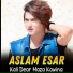 Aslam Esar