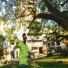 Sanjo, Akalittlewave, willsmithbrasileiro