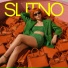 SLITNO