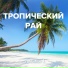 VLADIMIR L