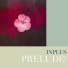 INPLUS