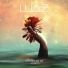 Luaz