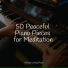 Tinnitus, Piano Music, Piano Therapy Sessions