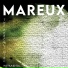 Gsea X Mareux
