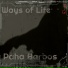 Paha Barbos