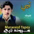 Khyali Wazir