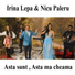 Irina Lepa feat. Nicu Paleru