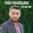 Puiu Fagarasanu