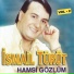 İsmail Türüt