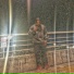 Yorch