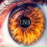 Soneca