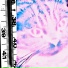 0U70FFU31