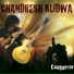 Chandresh Kudwa