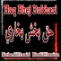 Mazhar Ali Hussaini