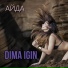 Dima Igin