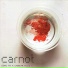 Carnot