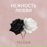 VELESIK