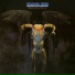 Eagles
