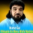Wahid Gul