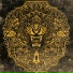 Ciconia