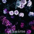 terpoline