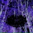 Unholy Eternity