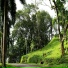 Manasa L