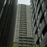 The seggy