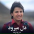 Seyar Walizada