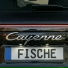 Fische