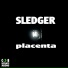 Sledger