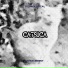 Catsica