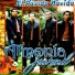 Armonia Juvenil