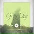 Grey Dog