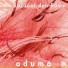 ADUMÁ Saxophonquartett