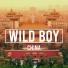 WILD BOY