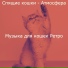 Музыка для кошек Ретро