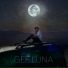 Gef