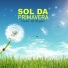 Conjunto Sol Da Primavera