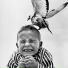 The Killbirds