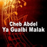 Cheb Abdel