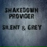 Shakedown Provider