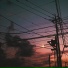 AVICN